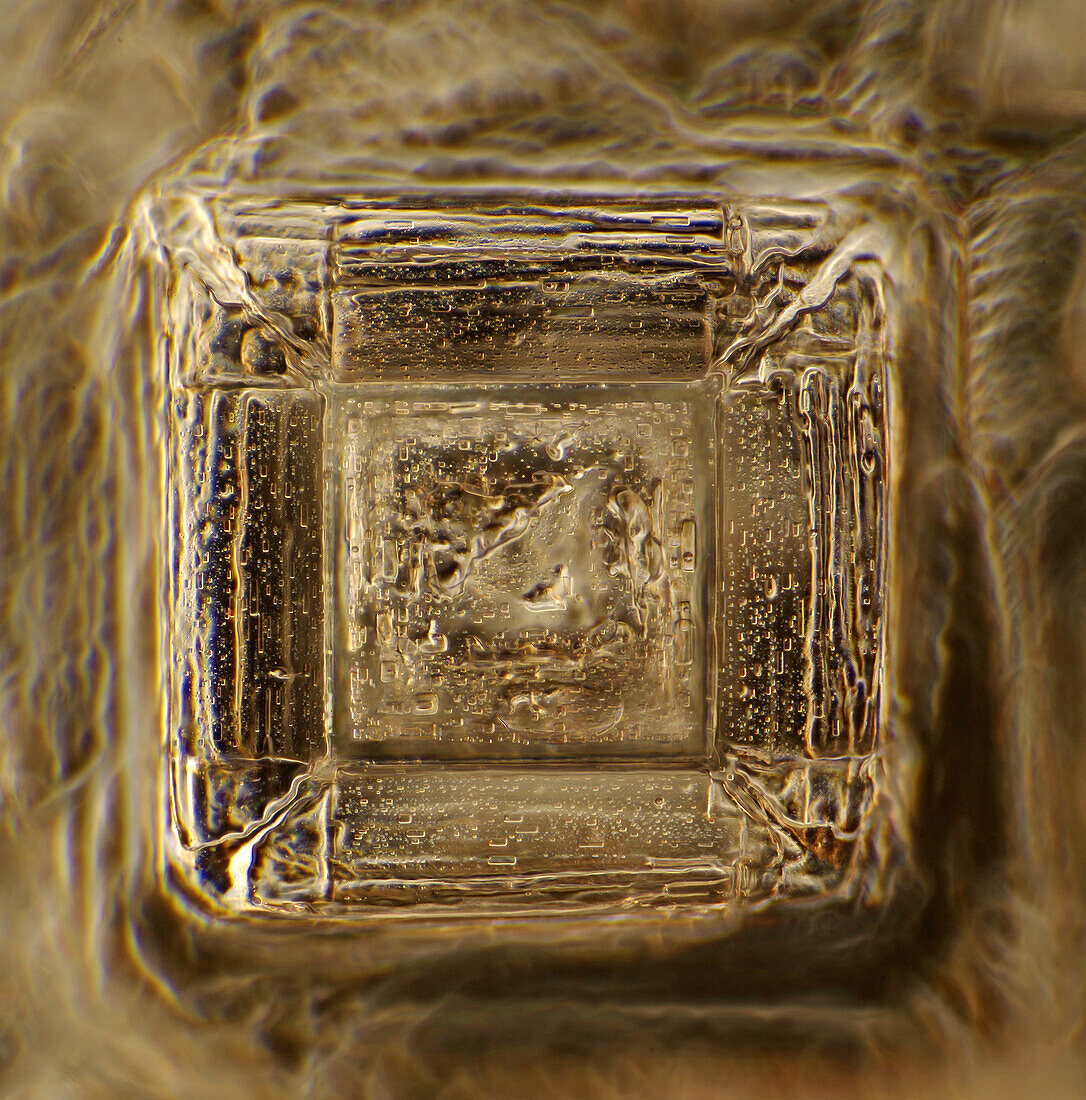 The image presents a single crystal of recrystallized kitchen salt, photographed through the microscope in polarized light at a magnification of 200X\n