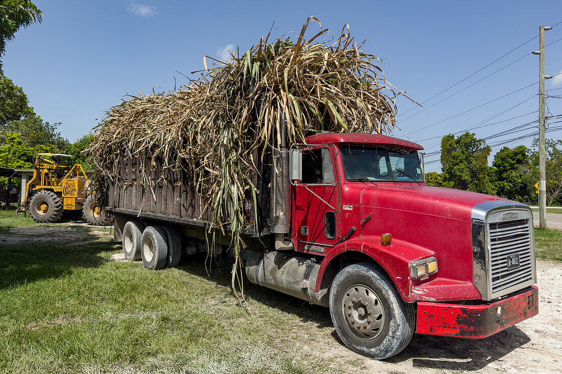 A diesel truck heavily-loaded with sugar cane in the Corozal District of Belize.\n