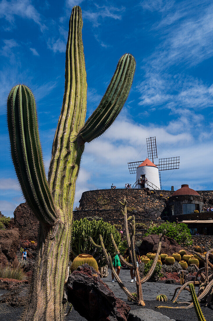 The Jardin de Cactus (Cactus garden) is a wonderful example of architectural intervention integrated into the landscape, designed by Cesar Manrique in Lanzarote, Canary Islands, Spain\n