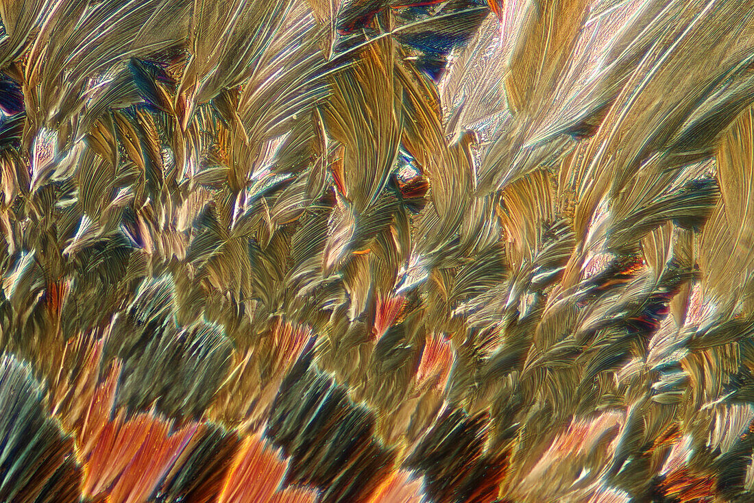 Das Bild zeigt eine kristallisierte Mischung aus Eryhtritol und Resorcin, fotografiert durch das Mikroskop in polarisiertem Licht bei einer Vergrößerung von 100X