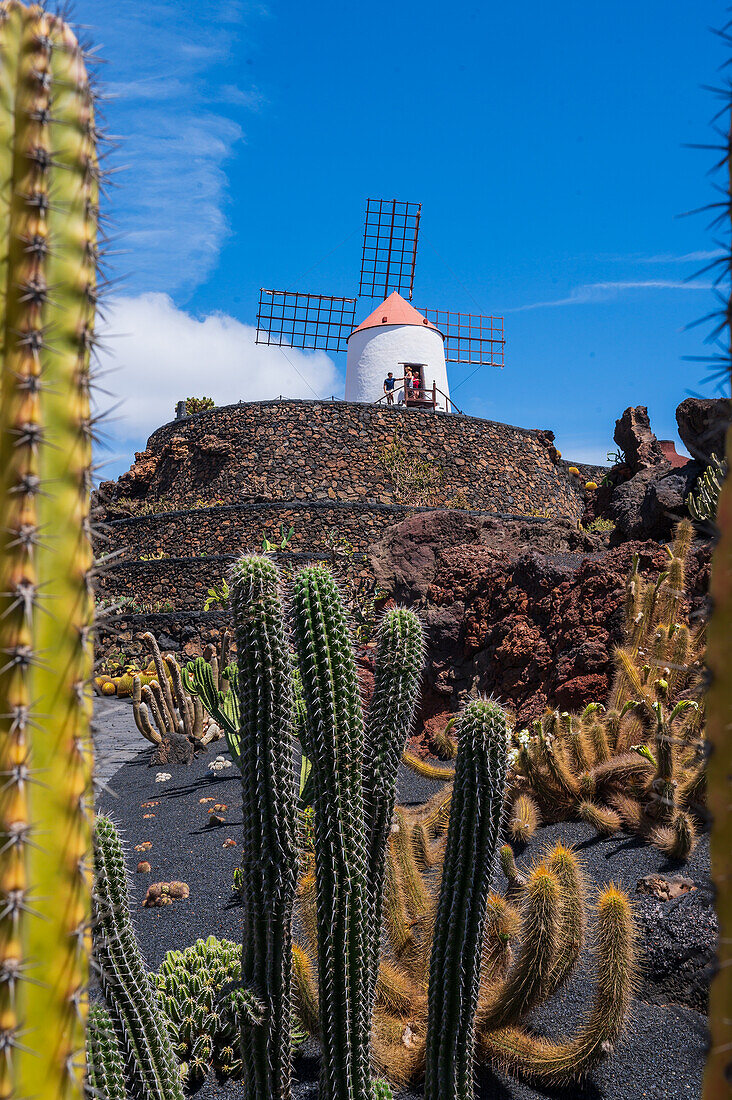 The Jardin de Cactus (Cactus garden) is a wonderful example of architectural intervention integrated into the landscape, designed by Cesar Manrique in Lanzarote, Canary Islands, Spain\n