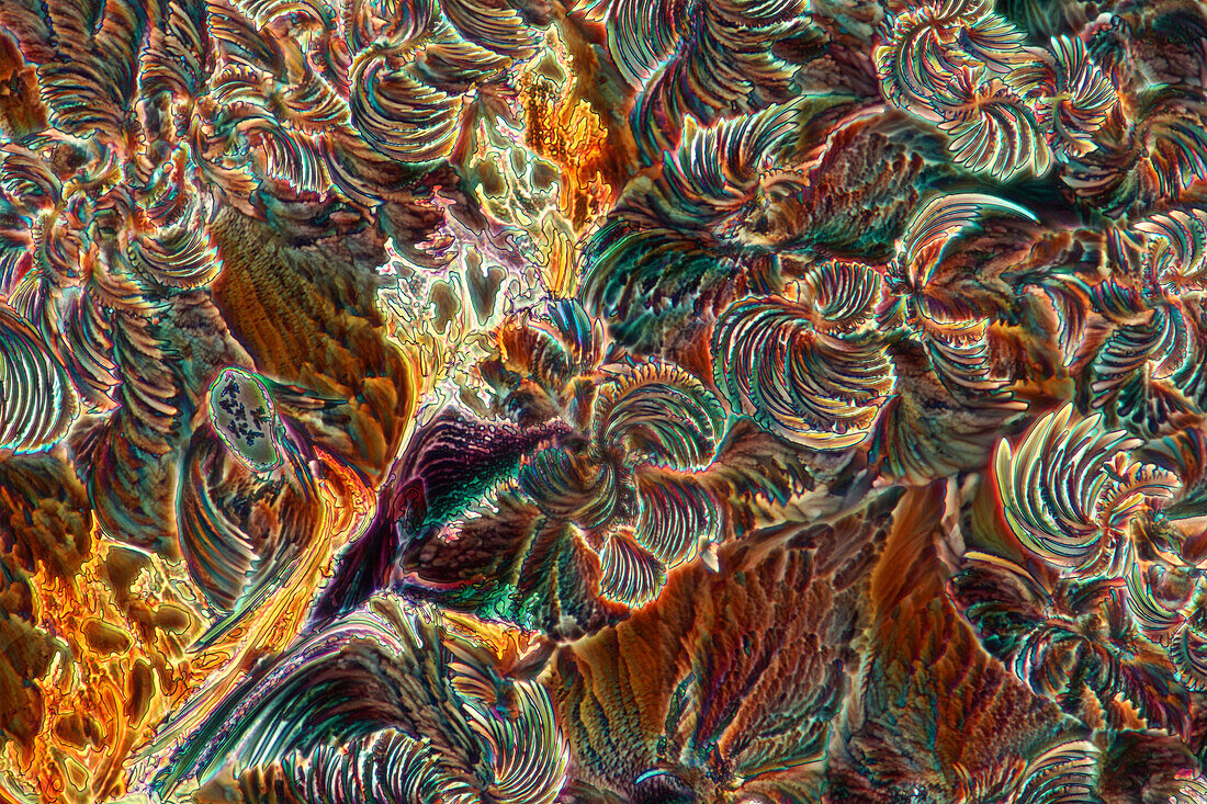 Das Bild zeigt kristallisierte Apfelsäure, fotografiert durch das Mikroskop im polarisierten Licht bei einer Vergrößerung von 100X