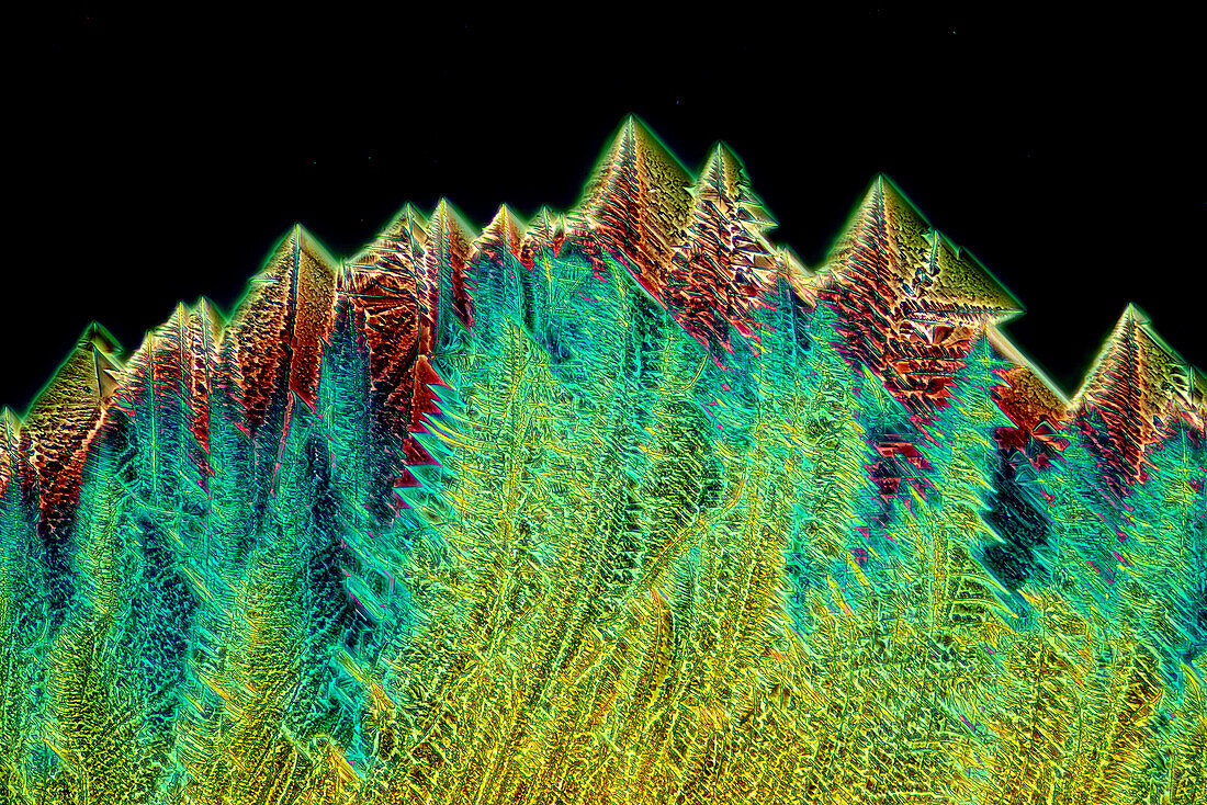 The image presents crystallized tartaric acid, photographed through the microscope in polarized light at a magnification of 100X\n