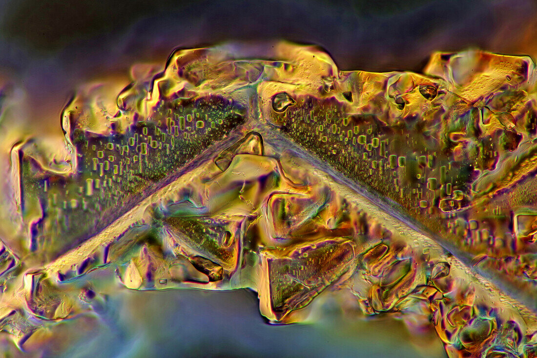Das Bild zeigt ein kristallisiertes Gemisch aus Salz und Zucker, aufgenommen durch das Mikroskop in polarisiertem Licht bei einer Vergrößerung von 100X