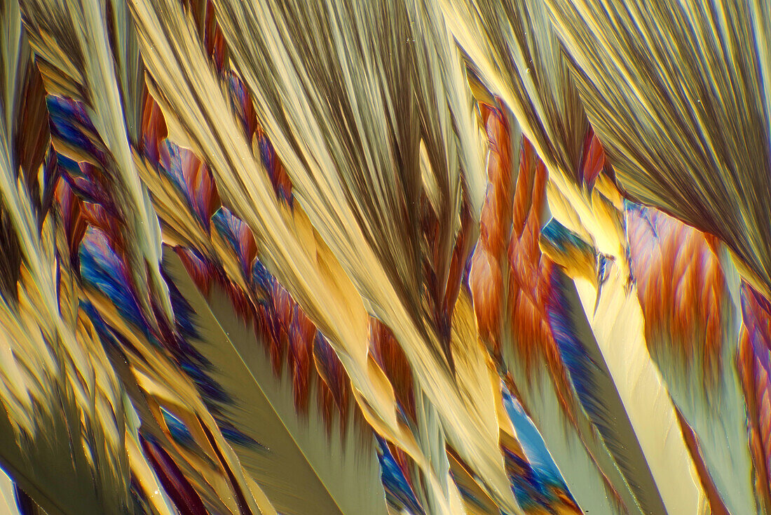 Das Bild zeigt kristallisiertes Resorcin, fotografiert durch das Mikroskop in polarisiertem Licht bei einer Vergrößerung von 100X
