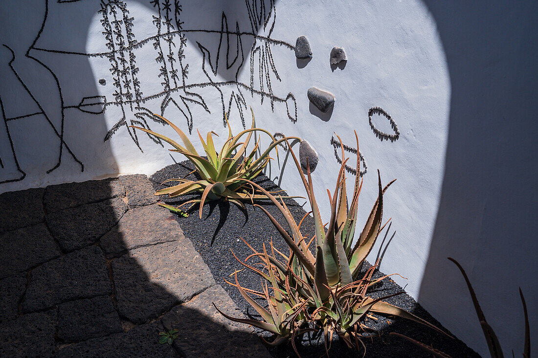 Der Jardin de Cactus (Kaktusgarten) ist ein wunderbares Beispiel für einen in die Landschaft integrierten architektonischen Eingriff, entworfen von Cesar Manrique auf Lanzarote, Kanarische Inseln, Spanien