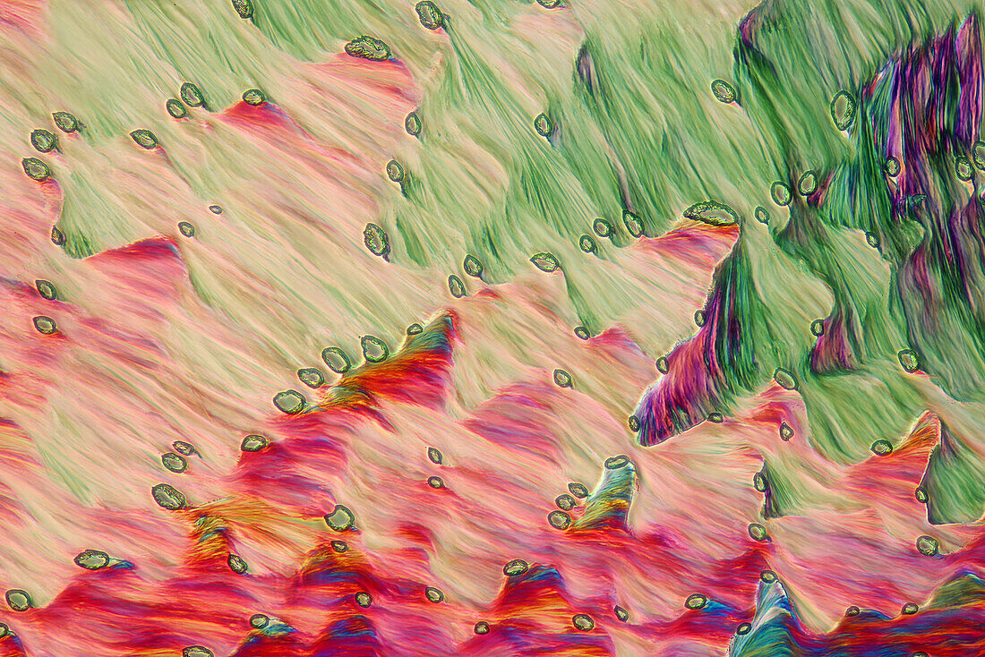 Das Bild zeigt ein kristallisiertes Gemisch aus Erythritol und TRIS, fotografiert durch das Mikroskop in polarisiertem Licht bei einer Vergrößerung von 100X