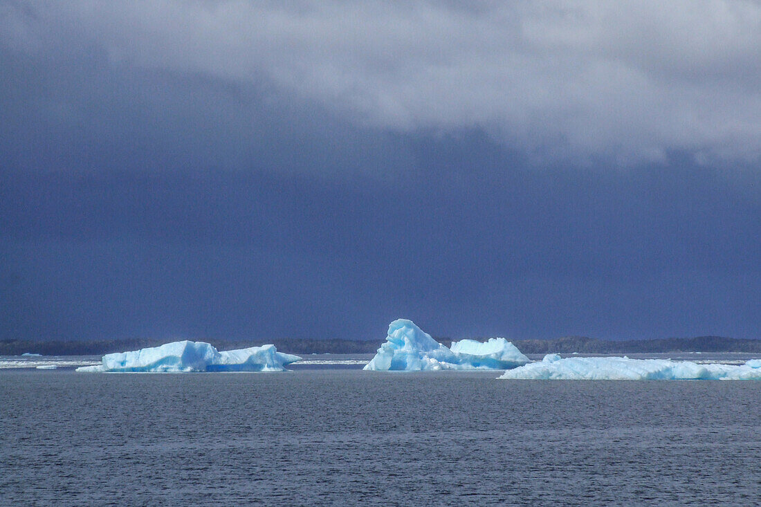 Eisberge vom San Rafael-Gletscher in der San Rafael-Lagune im Laguna San Rafael National Park, Chile.