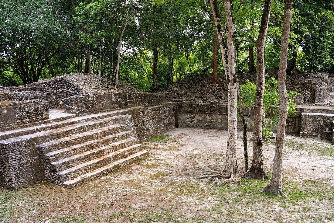 Strukturen A3 & A4 auf dem Platz A im Wohnkomplex in den Maya-Ruinen im archäologischen Reservat Cahal Pech, Belize.
