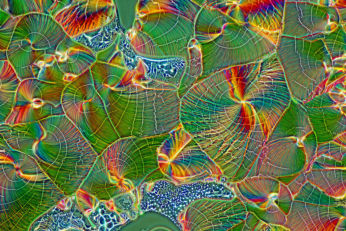 Das Bild zeigt ein kristallisiertes Gemisch von Harnstoff und Apfelsäure, fotografiert durch das Mikroskop in polarisiertem Licht bei einer Vergrößerung von 100X
