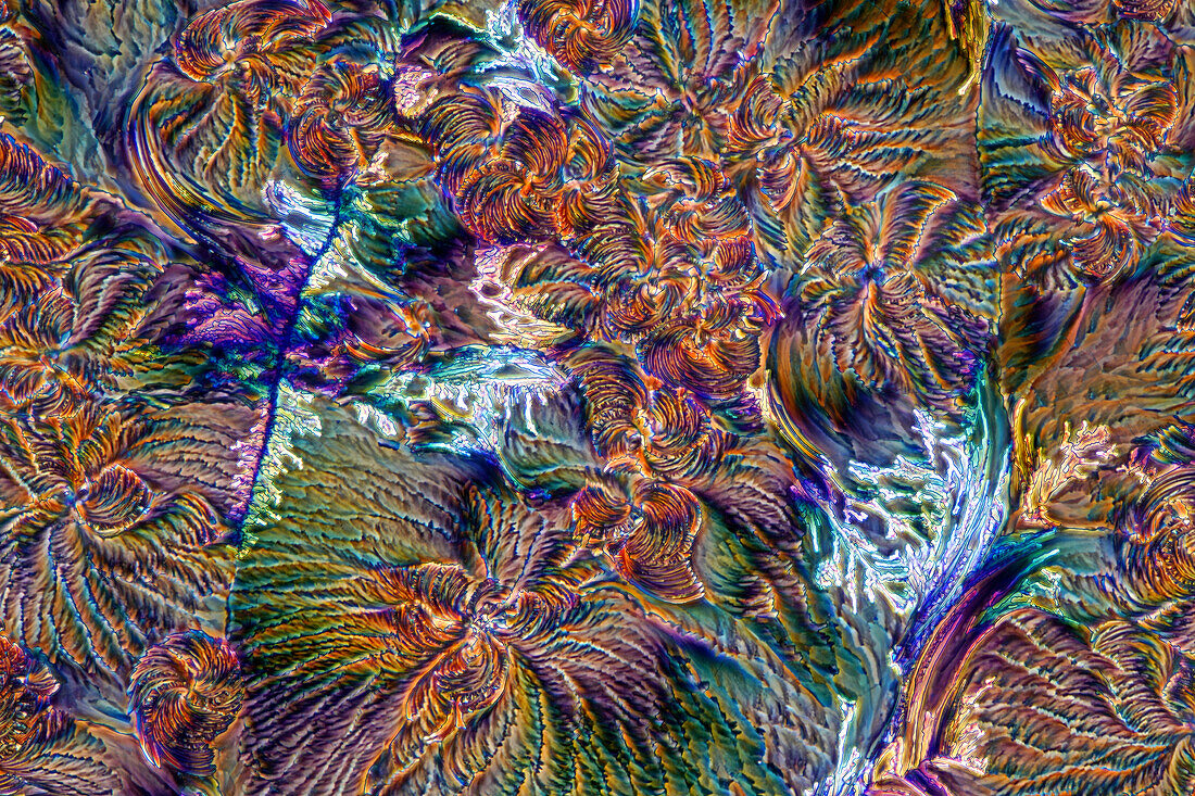 Das Bild zeigt kristallisierte Weinsäure, fotografiert durch das Mikroskop im polarisierten Licht bei einer Vergrößerung von 100X