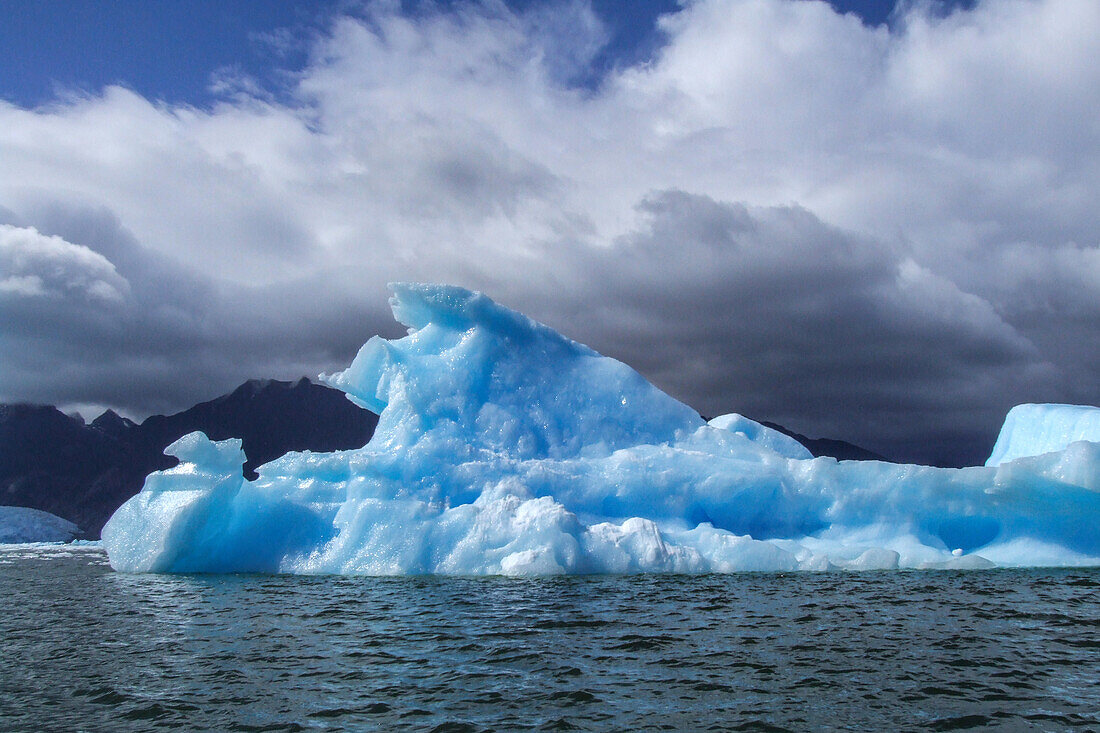 Icebergs from the San Rafael Glacier in the San Rafael Lagoon in Laguna San Rafael National Park, Chile.\n