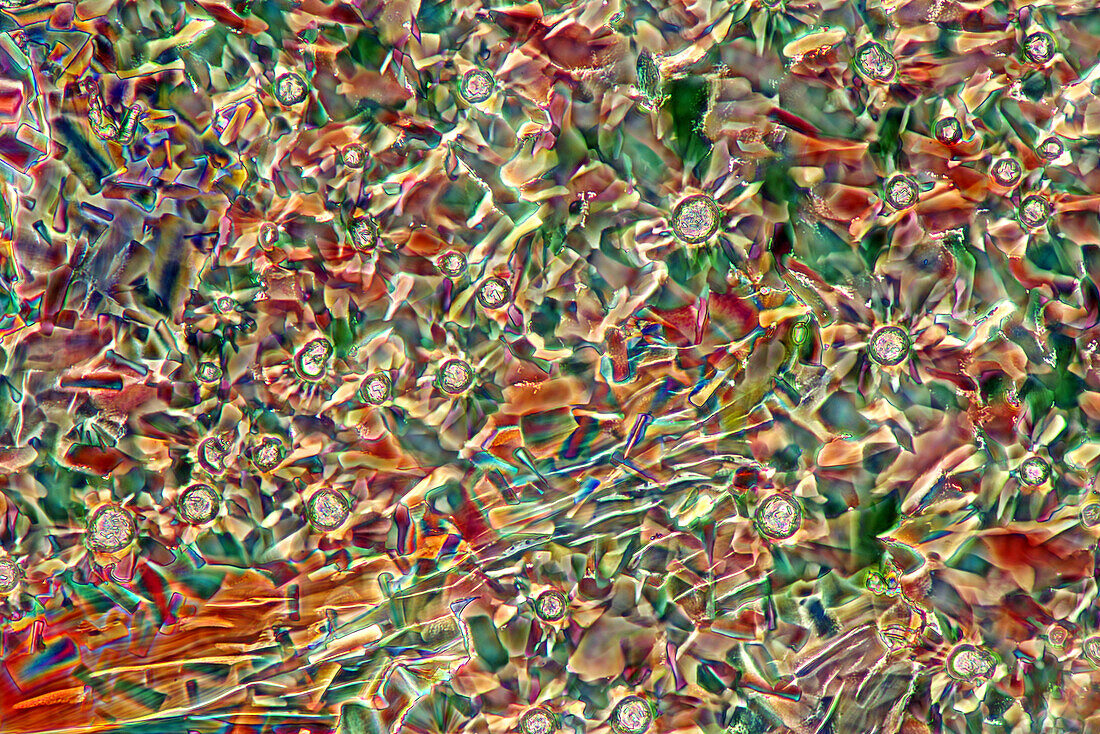 Das Bild zeigt kristallisierte Weinsäure, fotografiert durch das Mikroskop in polarisiertem Licht bei einer Vergrößerung von 100X