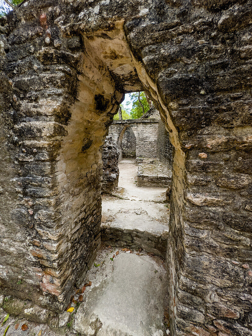 Kragbogentüren zwischen den Räumen der Plaza E und Plaza D in den Maya-Ruinen im archäologischen Reservat von Cahal Pech, Belize.