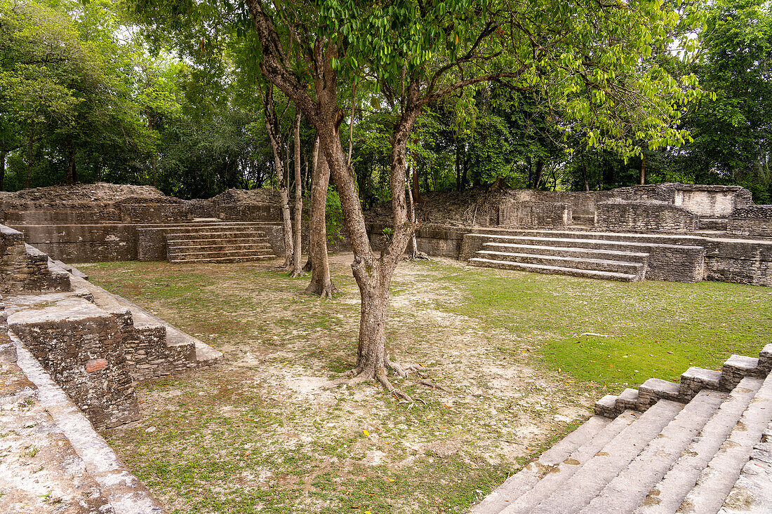 Die Strukturen A4 und A3 auf der Plaza A im Wohnkomplex in den Maya-Ruinen im archäologischen Reservat Cahal Pech, Belize.