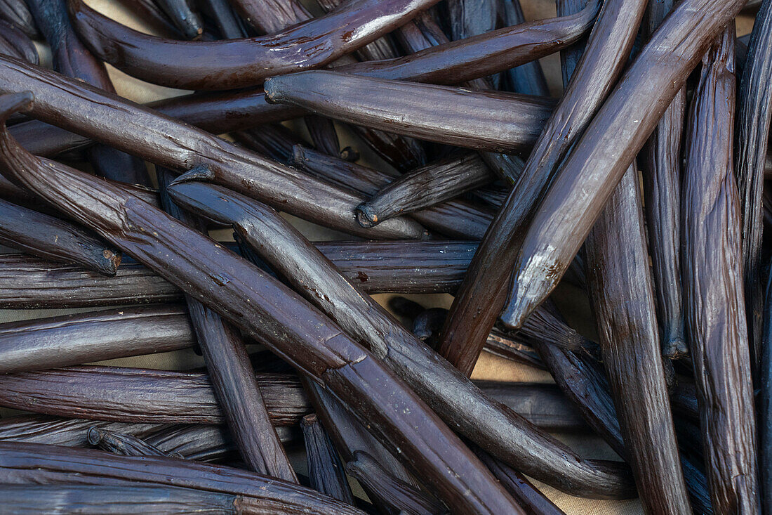 Vanilla beans, Taha'a, Society Islands, French Polynesia.\n