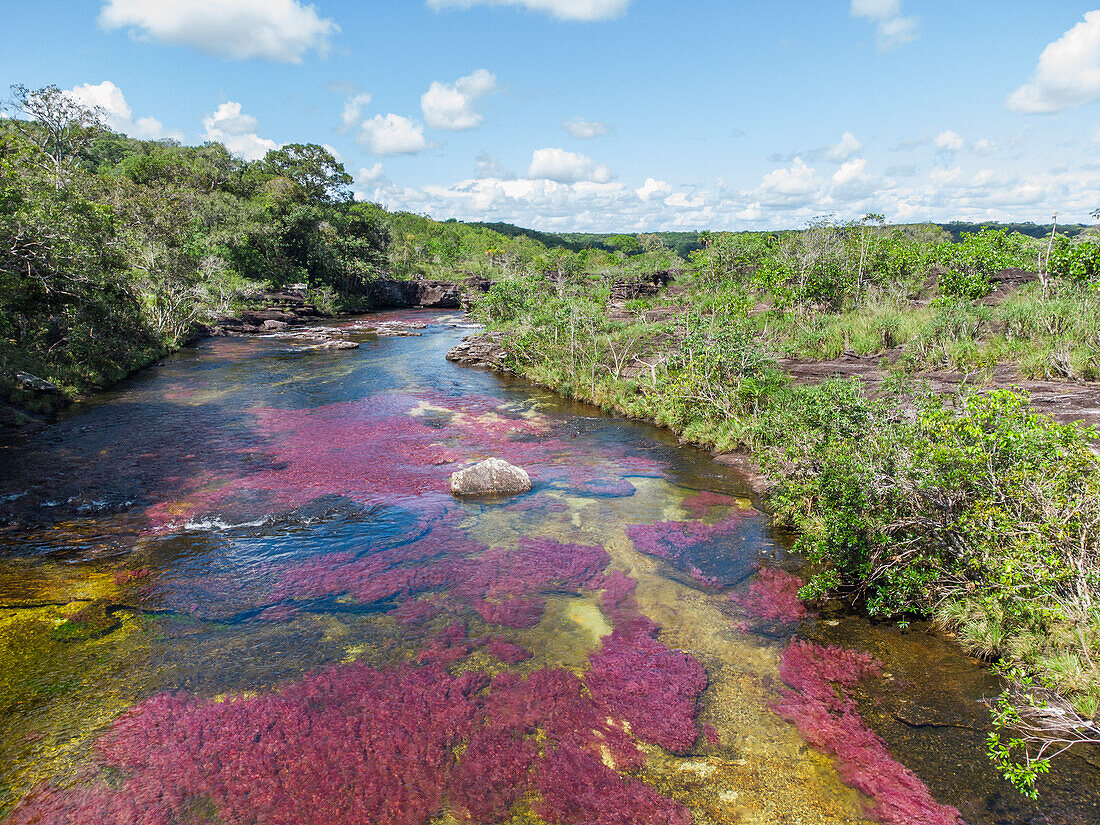 Caño Cristales, also known as the River of Five Colors, is a Colombian river located in the Serranía de la Macarena, an isolated mountain range in the Meta Department, Colombia\n