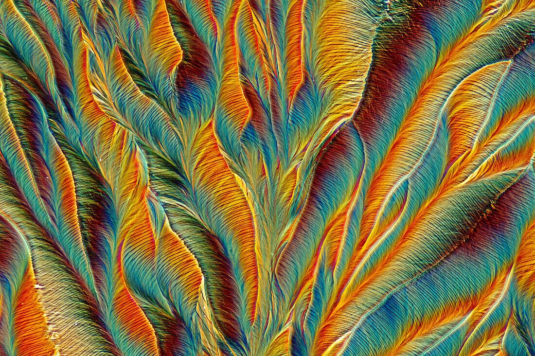 Das Bild zeigt kristallisiertes Paracetamol, fotografiert durch das Mikroskop in polarisiertem Licht bei einer Vergrößerung von 100X