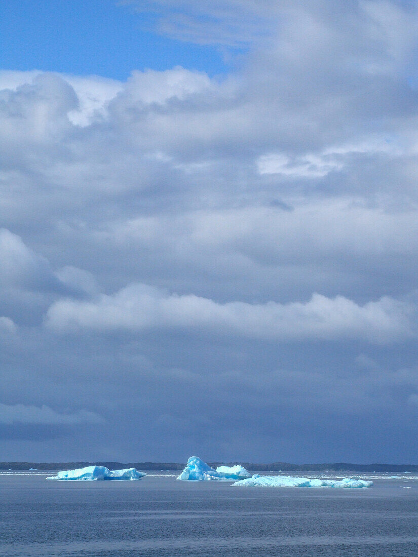 Eisberge des San-Rafael-Gletschers in der Lagune San Rafael im Nationalpark Laguna San Rafael, Chile.