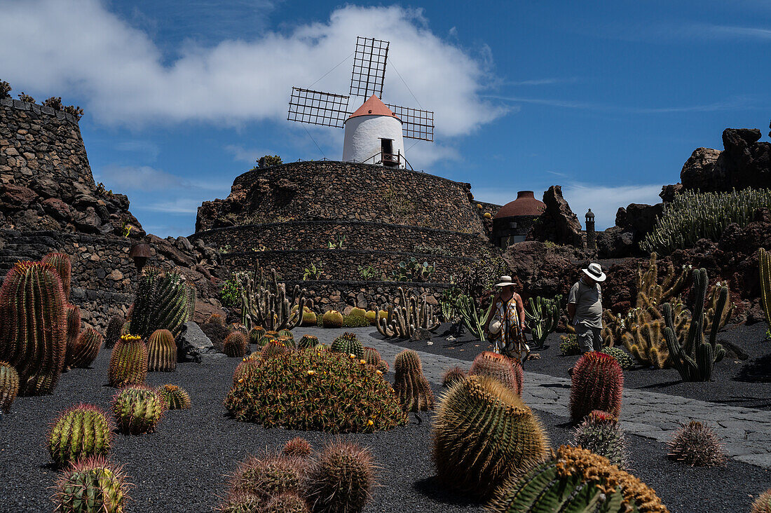 The Jardin de Cactus (Cactus garden) is a wonderful example of architectural intervention integrated into the landscape, designed by Cesar Manrique in Lanzarote, Canary Islands, Spain\n