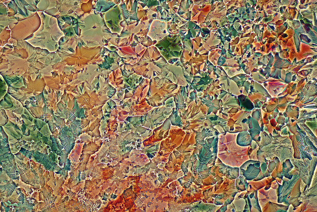 Das Bild zeigt eine kristallisierte Mischung aus Erythritol und TRIS, fotografiert durch das Mikroskop in polarisiertem Licht bei einer Vergrößerung von 100X