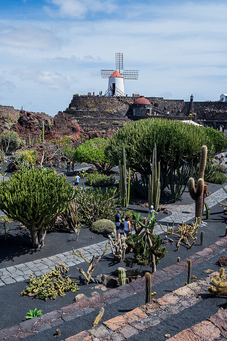 Der Jardin de Cactus (Kaktusgarten) ist ein wunderbares Beispiel für einen in die Landschaft integrierten architektonischen Eingriff, entworfen von Cesar Manrique auf Lanzarote, Kanarische Inseln, Spanien