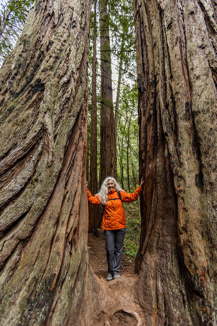 USA, Kalifornien, Stinson Beach, Ältere Frau berührt beim Wandern große Mammutbäume