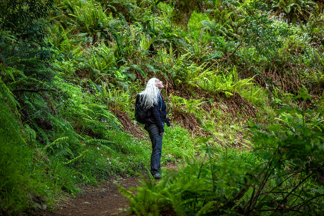 USA, California, Stinson Beach, Senior woman hiking Dipsea Trail\n