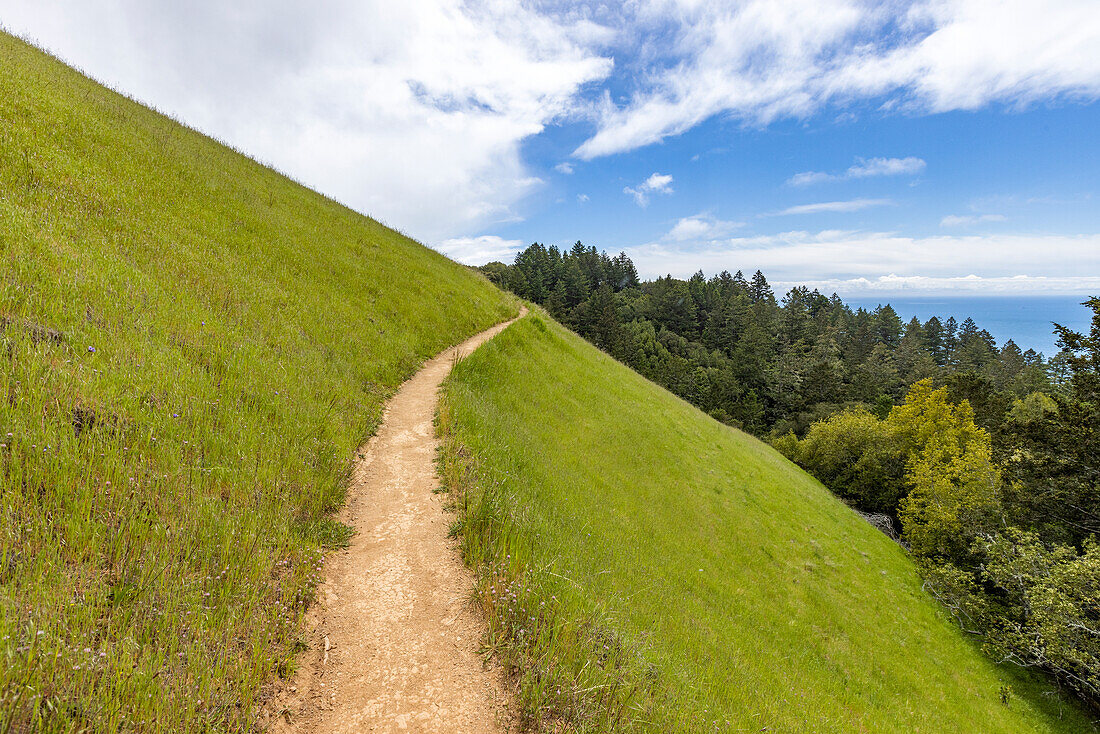 Hiking trail from Stinson beach crossing hill\n