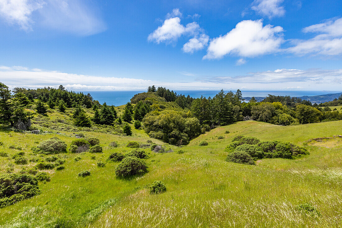 USA, California, Stinson Beach, Scenic view towards ocean from hillside\n