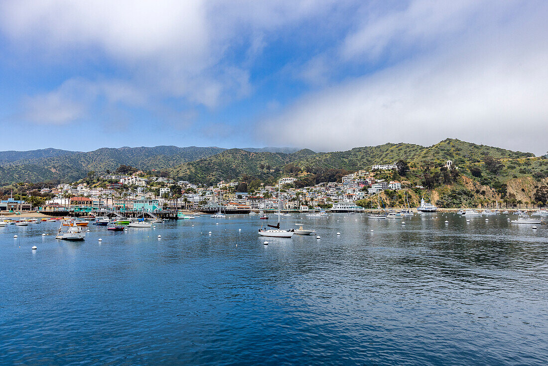 USA, California, Catalina Island, Avalon, View of Avalon Harbor and town on sea coast\n