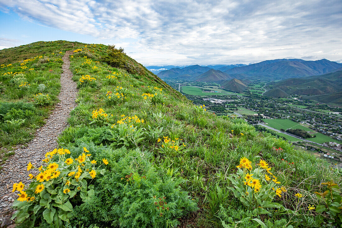 USA, Idaho, Hailey, Hiking trail on Carbonate Mountain\n