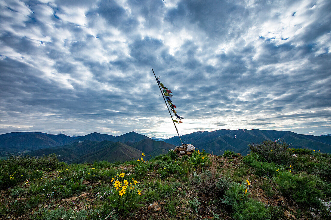 USA, Idaho, Hailey, Prayer flags and Arrowleaf Balsamroot (Balsamorhiza sagittata) on Carbonate Mountain\n