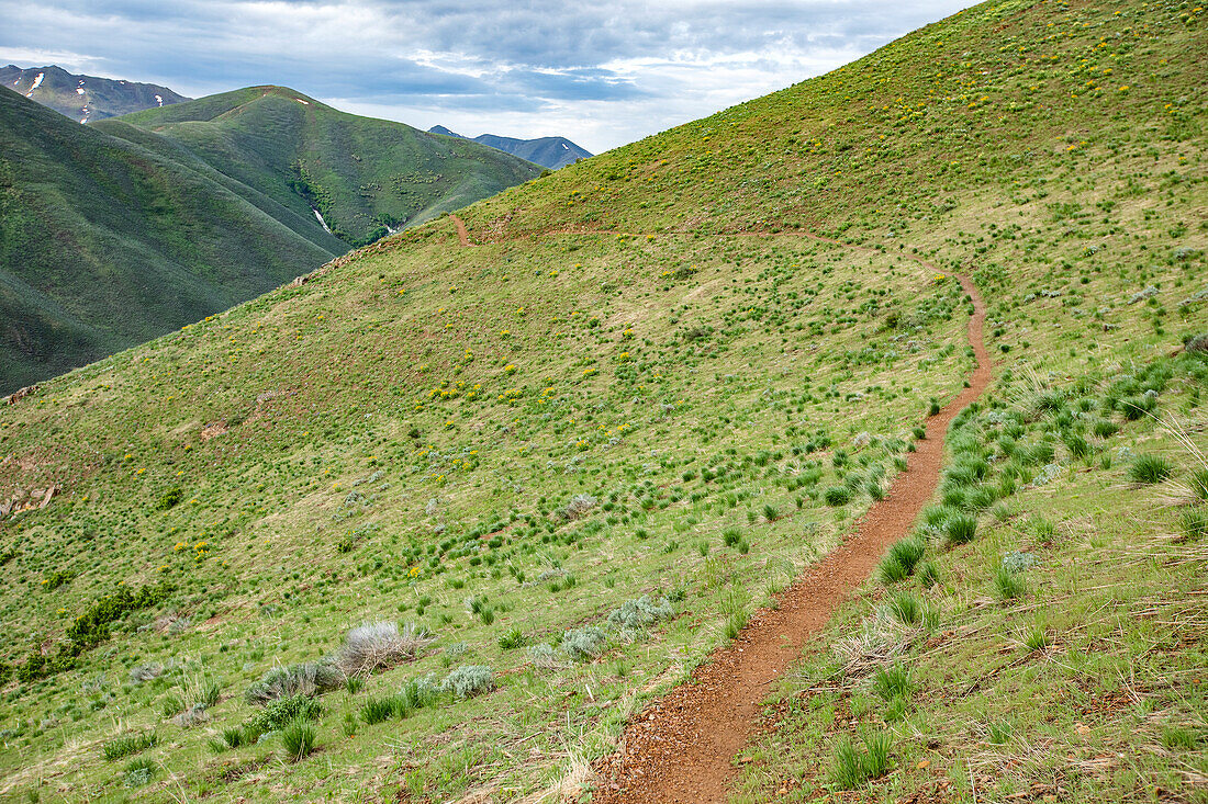 USA, Idaho, Hailey, Hiking trail on Carbonate Mountain\n