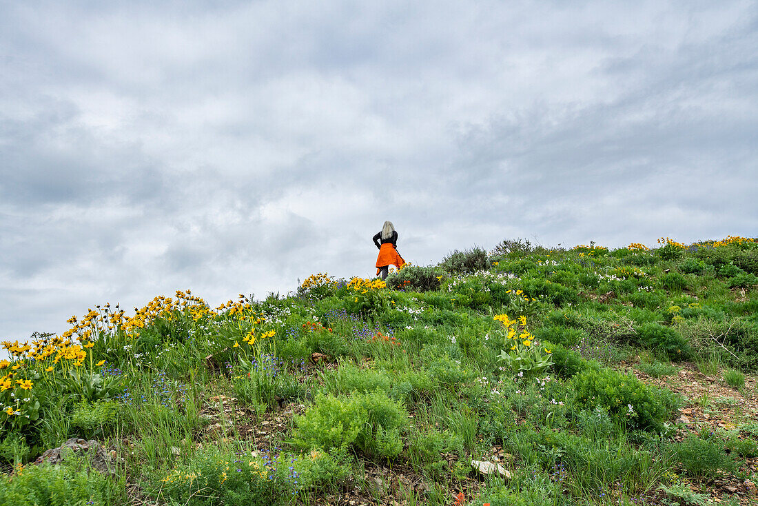 USA, Idaho, Hailey, Senior blonde woman hiking on Carbonate Mountain trail\n
