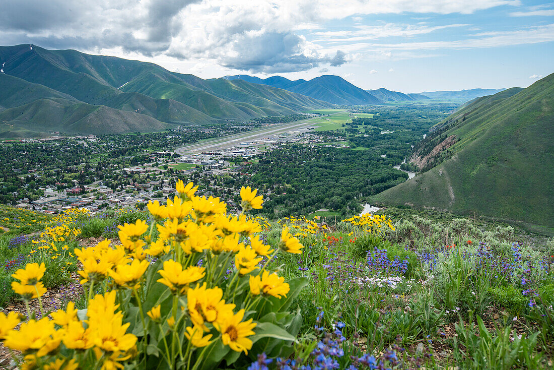 USA, Idaho, Hailey, Scenic landscape with Arrowleaf Balsamroot along Carbonate Mountain Trail\n