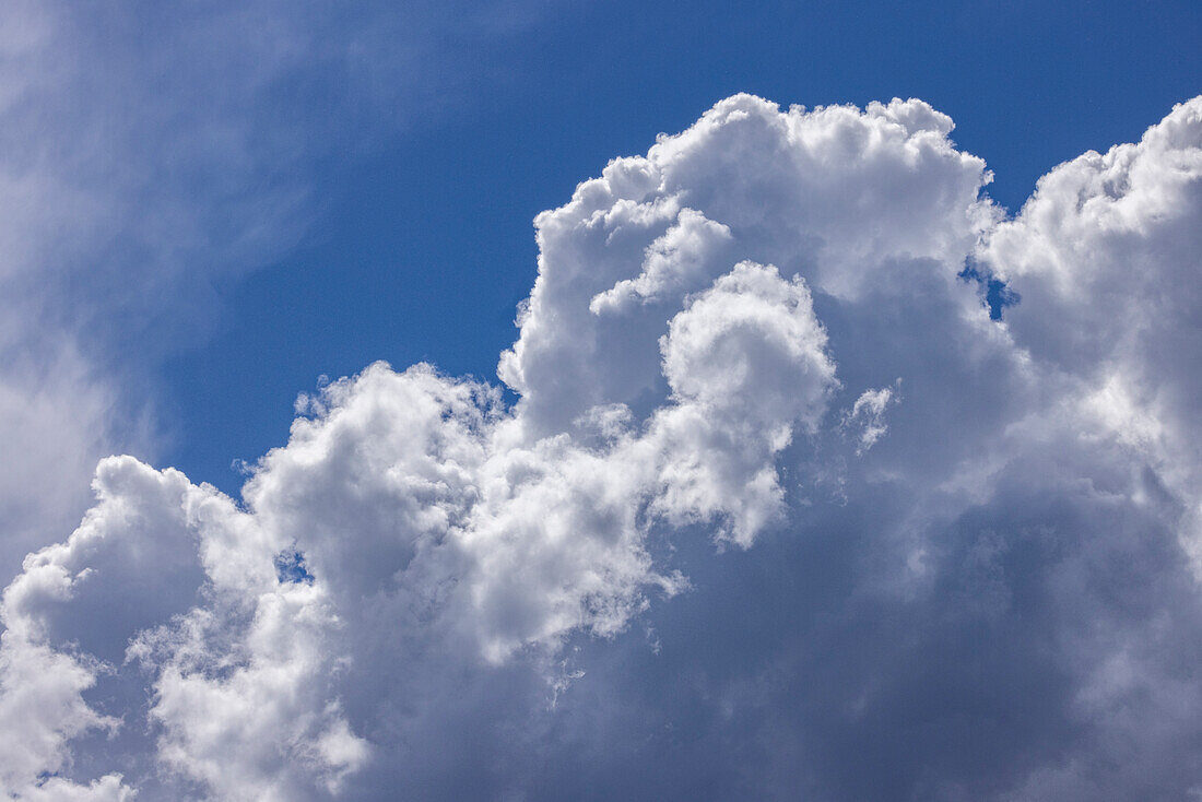Full frame of puffy white clouds in blue sky\n