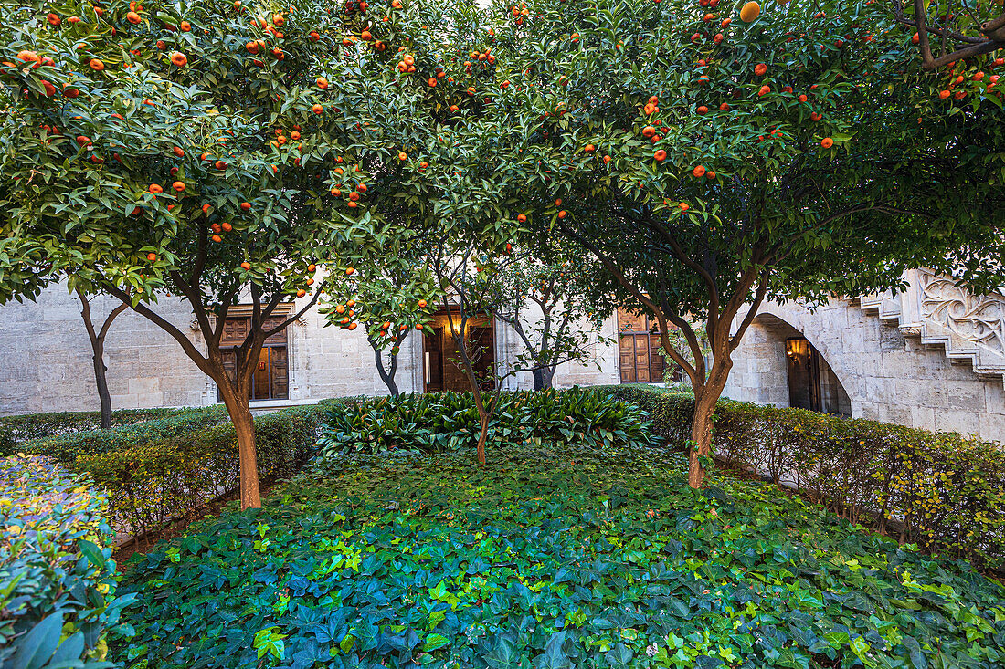 Spain, Valencia, Historic formal garden at Silk Exchange\n