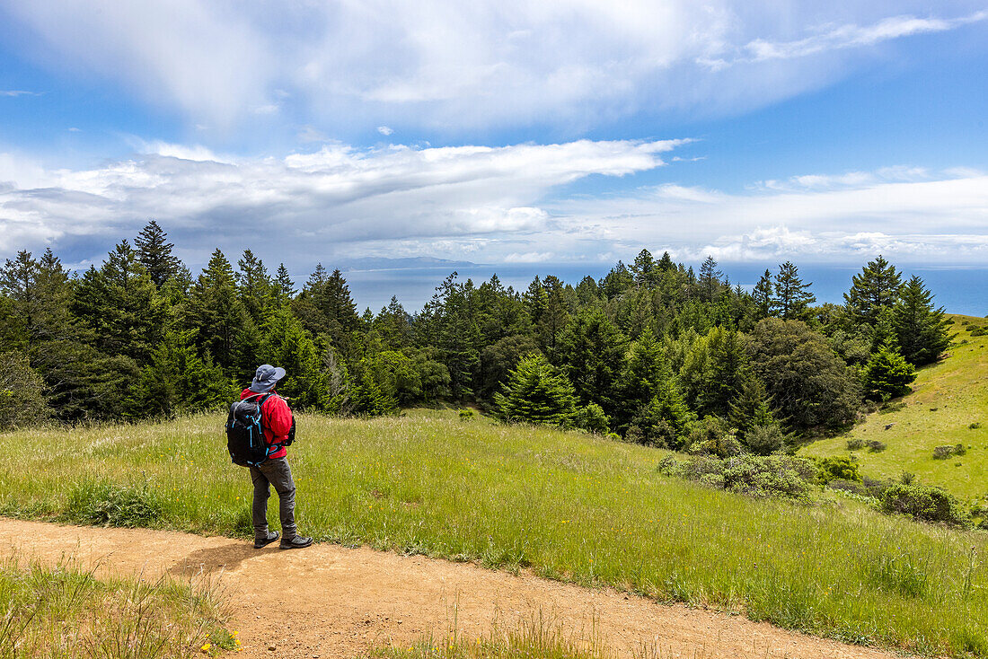 USA, California, Marin Headlands, Senior man hiking Dipsea Trail\n