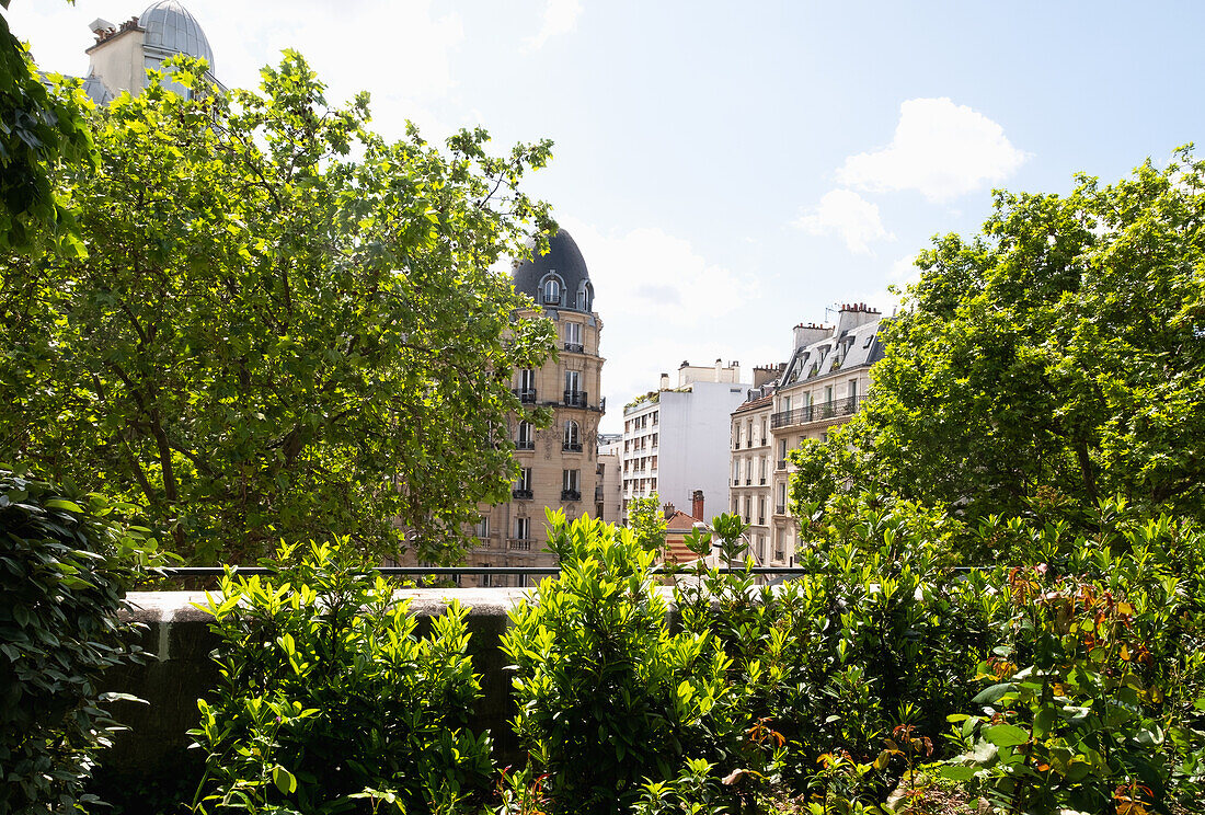 France, Paris, Lush trees in front of buildings in city \n