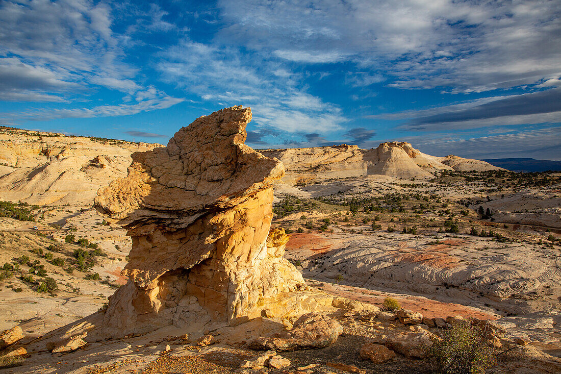 A Navajo sandstone hoodoo shaped like a griffin or a dragon in the Grand Staircase-Escalante National Monument in Utah.\n