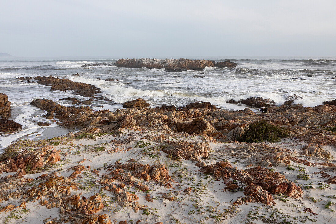 Südafrika, Hermanus, Felsenküste des Atlantischen Ozeans in Kammabaai Beach