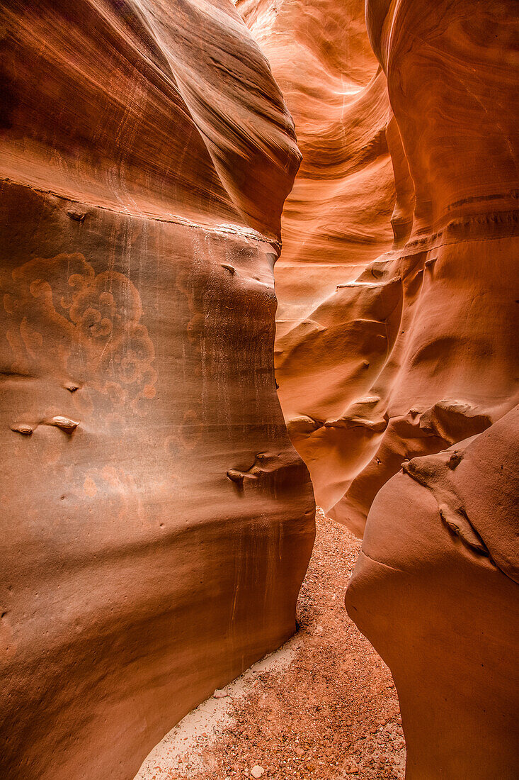 Lichen patterns in the sculpted High Spur slot canyon in the Orange Cliffs of the Glen Canyon National Recreation Area in Utah.\n