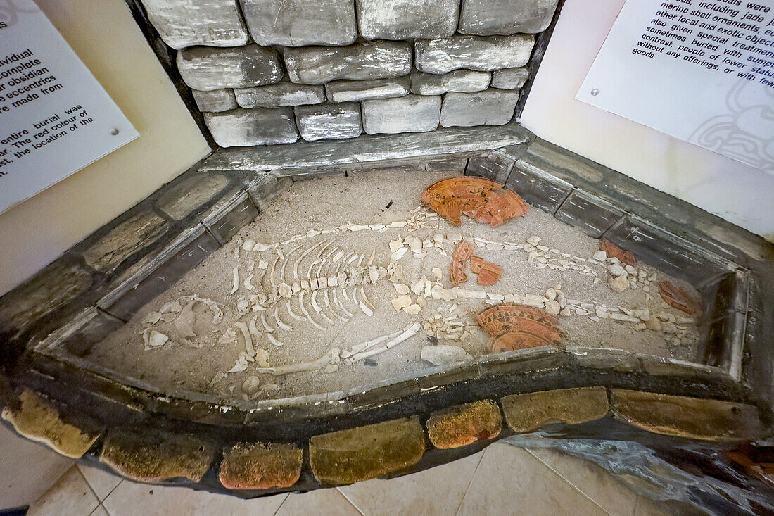 Recreation of Burial A4-2 in the museum in the Xunantunich Archeological Reserve in Belize, containing the skeleton & grave goods.\n