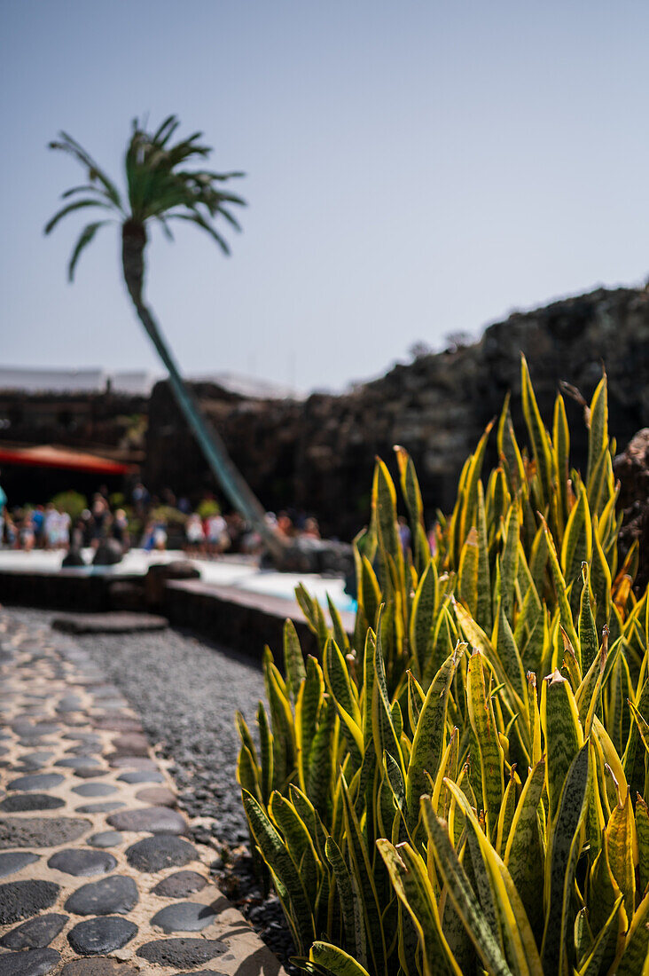 Jameos del Agua is a series of lava caves and an art, culture and tourism center created by local artist and architect, Cesar Manrique, Lanzarote, Canary Islands, Spain\n