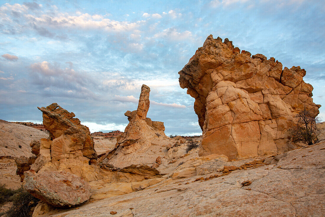 Navajo sandstone hoodoo rock formations in the Grand Staircase-Escalante National Monument in Utah.\n