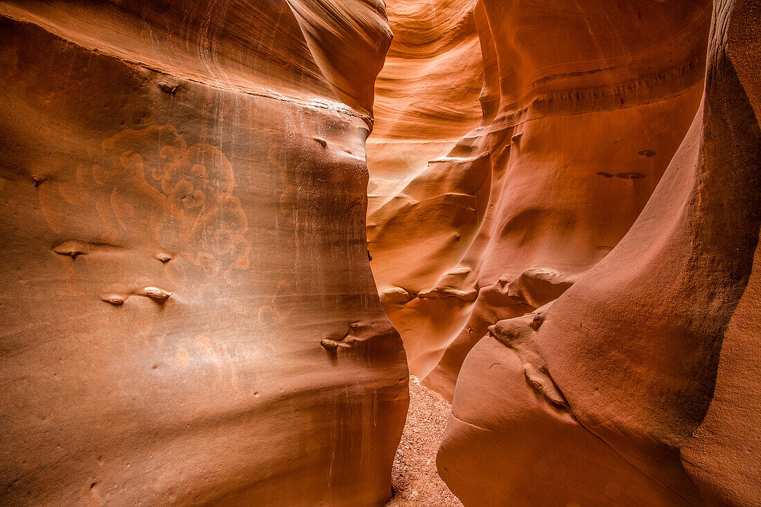 Lichen patterns in the sculpted High Spur slot canyon in the Orange Cliffs of the Glen Canyon National Recreation Area in Utah.\n