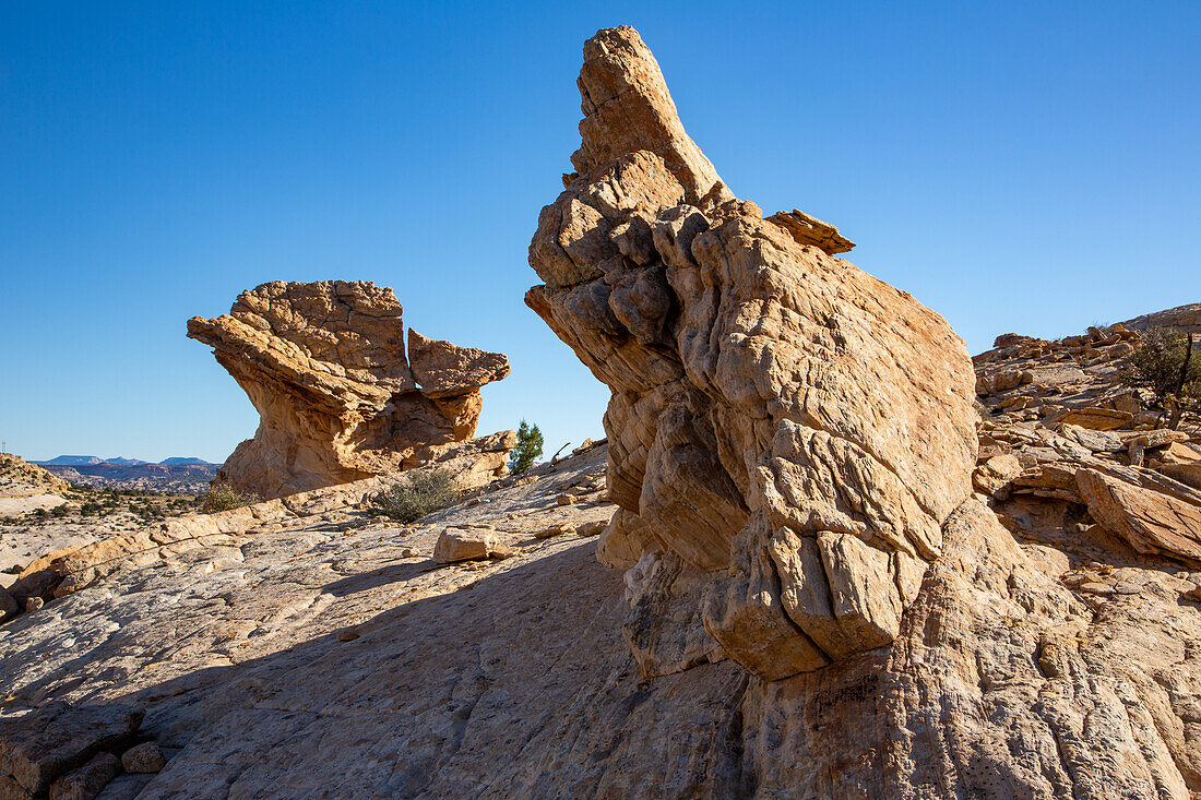 A Navajo sandstone hoodoo shaped like a griffin or a dragon in the Grand Staircase-Escalante National Monument in Utah.\n