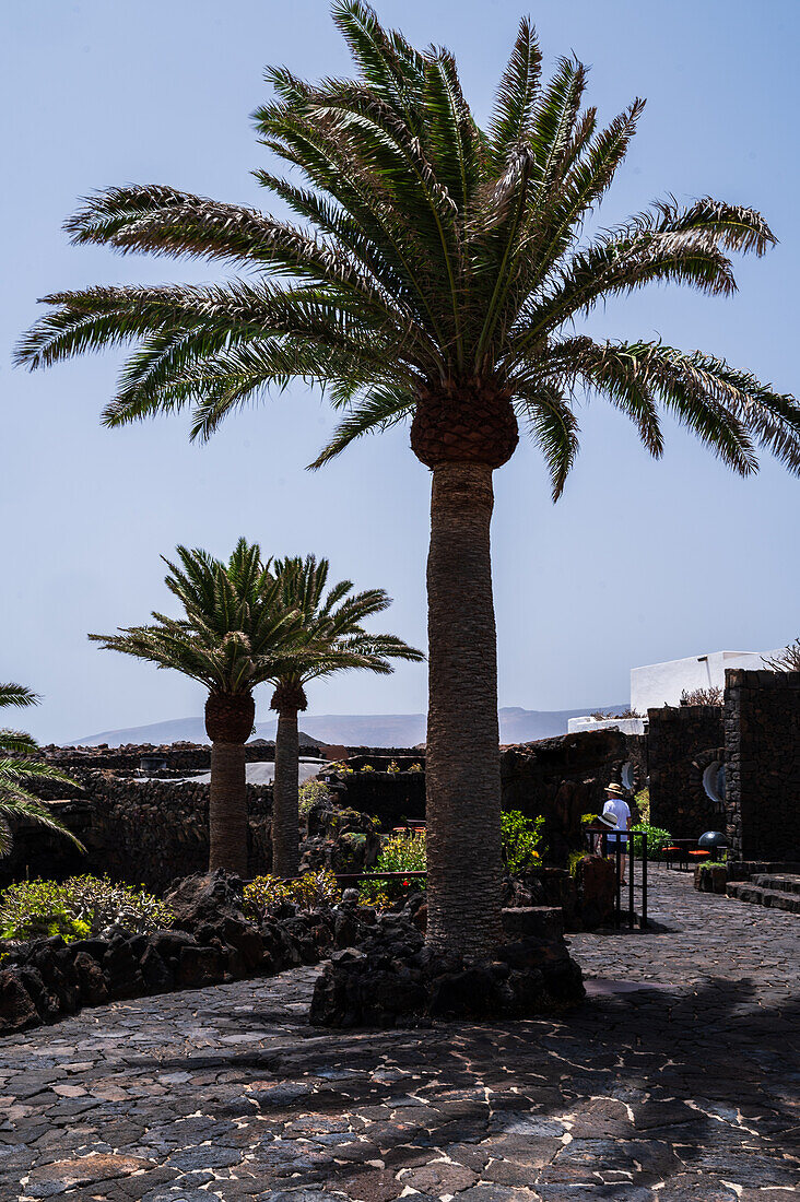 Jameos del Agua is a series of lava caves and an art, culture and tourism center created by local artist and architect, Cesar Manrique, Lanzarote, Canary Islands, Spain\n