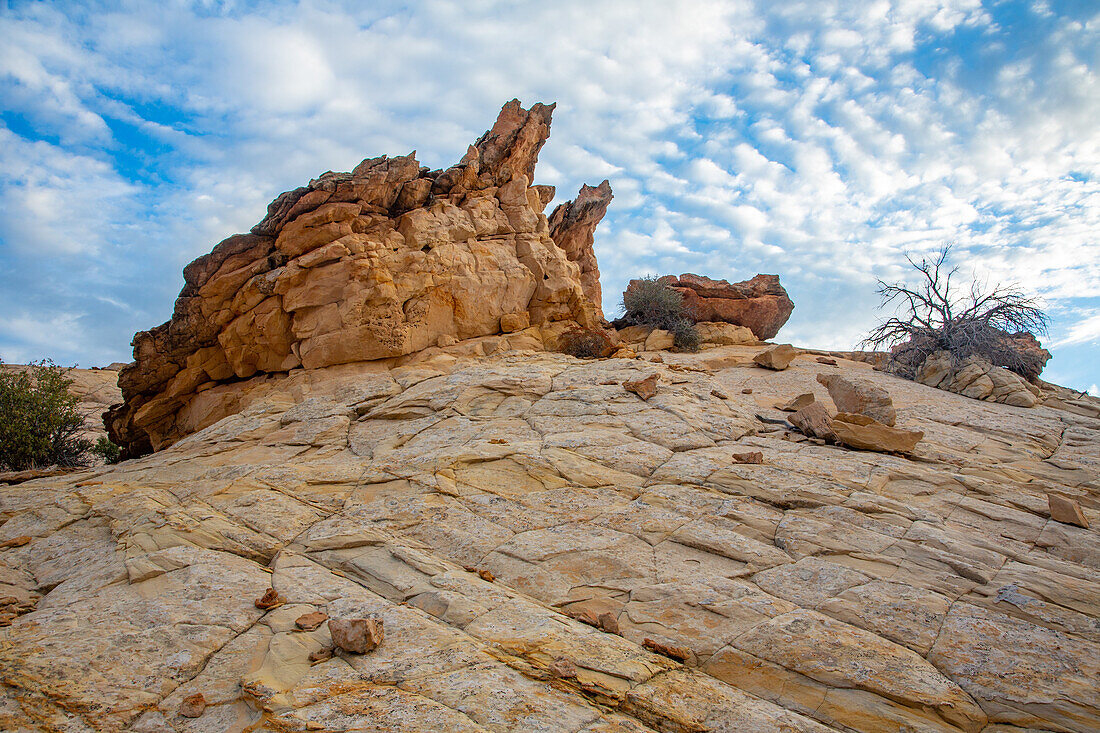 Navajo sandstone hoodoo rock formations in the Grand Staircase-Escalante National Monument in Utah.\n